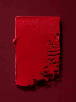 collectiveinterest-caroline-fayette-ysl- 