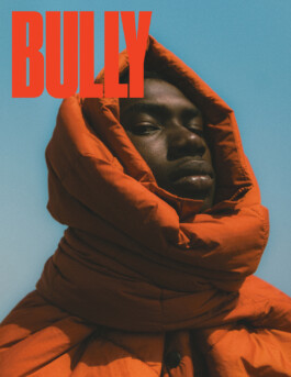 collectiveinterest-maria-ehrlich-bully-2023 