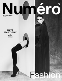 collectiveinterest-maria-ehrlich-numero-nl-2023 