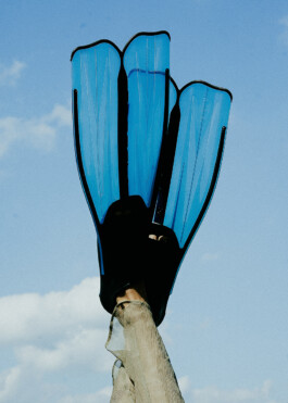 collectiveinterest-mona-morali-a-part-publications-the-participants 